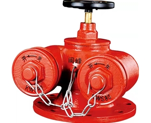 多用式水泵接合器SQD150-80